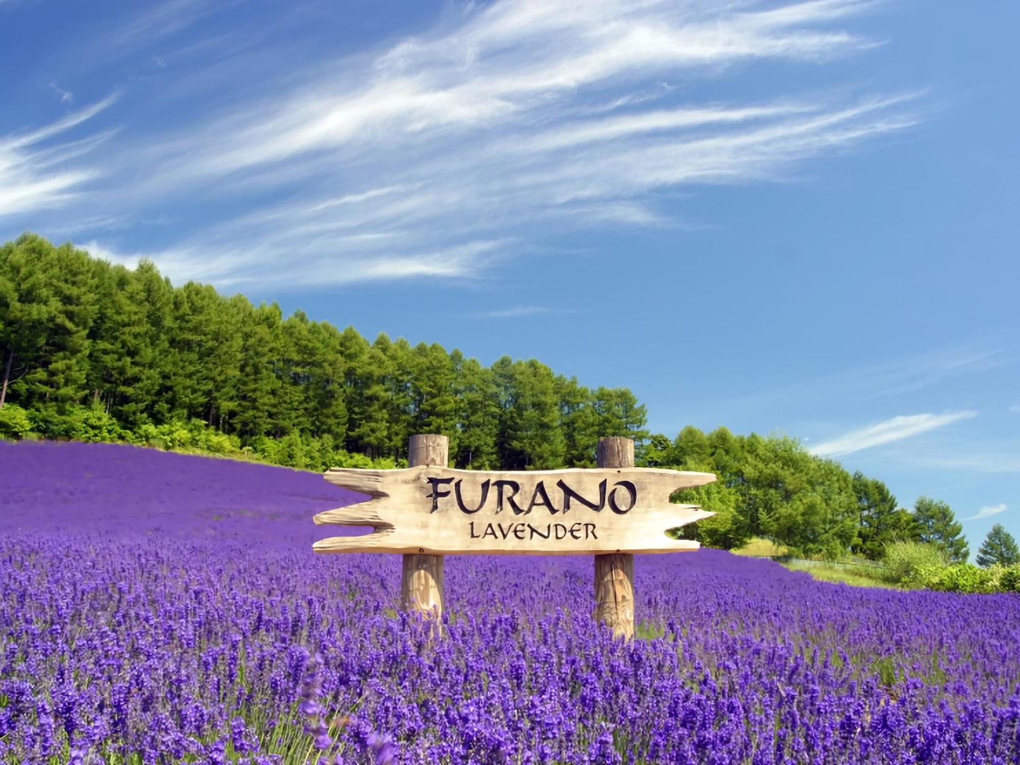 Hotel Naturwald Nakafurano Εξωτερικό φωτογραφία
